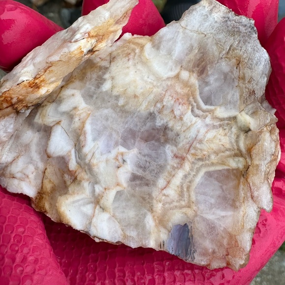 Meet your Posher, Bedrock Barbie - Picture 11 of 13